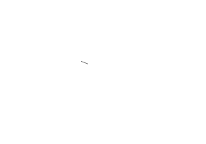 Chinese GP