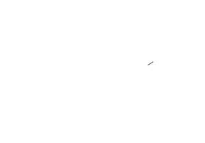 Japanese GP