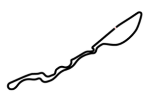 Saudi Arabian Grand Prix 2025