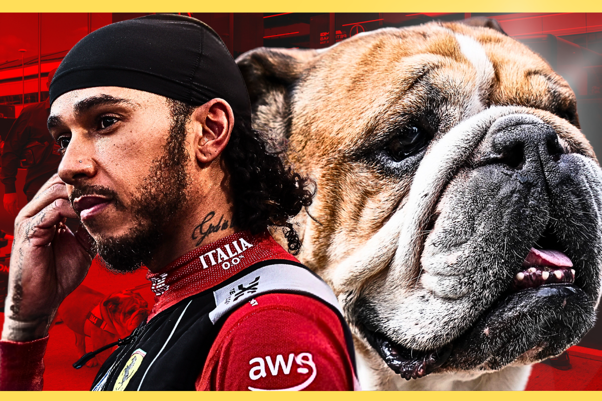 Hamilton reveals plans for Roscoe Ferrari debut