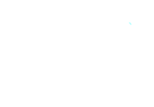 Saudi Arabian GP